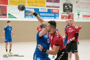 Handball RW WER_HSG RSV Teltow Ruhlsdorf